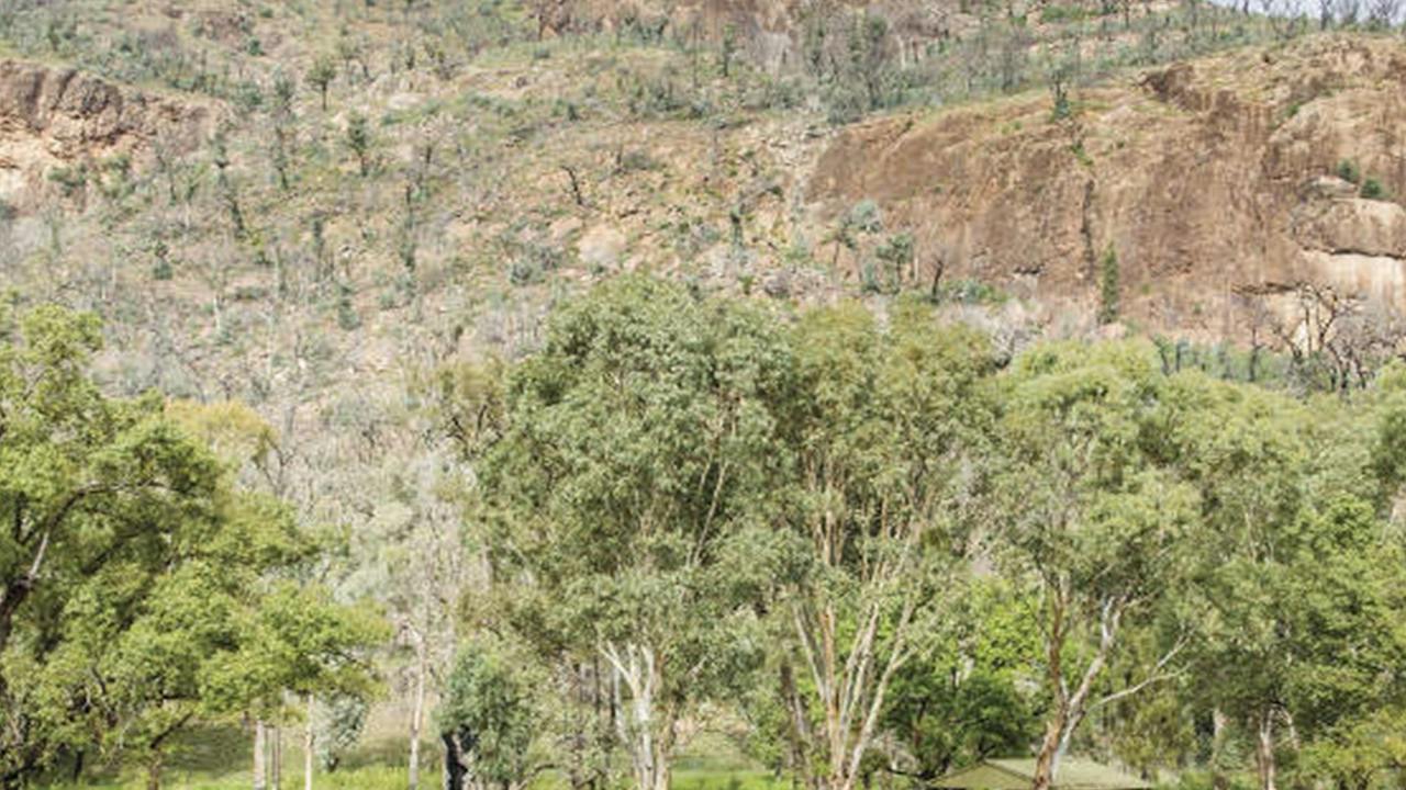 Canyon picnic area