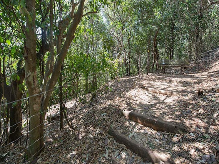 Sun-dappled forest track on Cape Hawke lookout walk, Booti Booti National Park. Photo credit: John