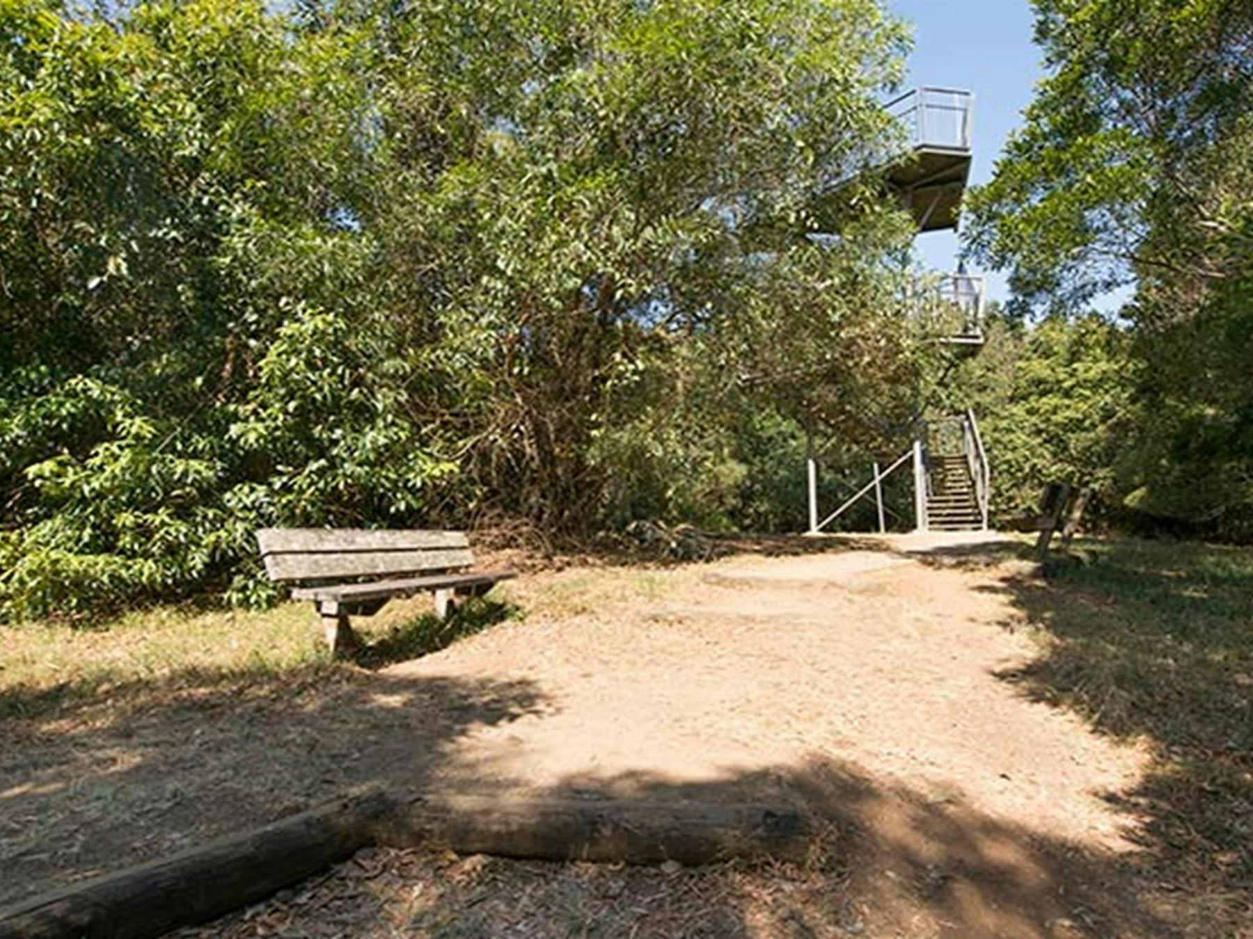 Timber chair below Cape Hawke lookout tower in Booti Booti National Park. Photo credit: John Spencer