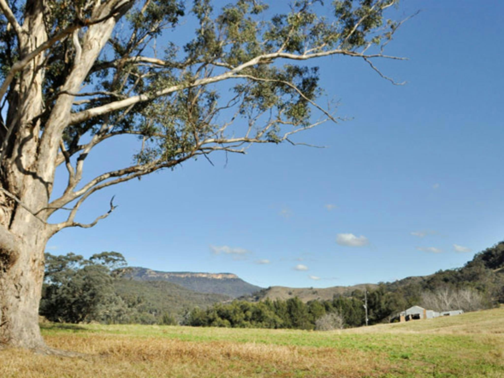 卡珀蒂國家公園。照片：米歇爾·巴頓/OEH