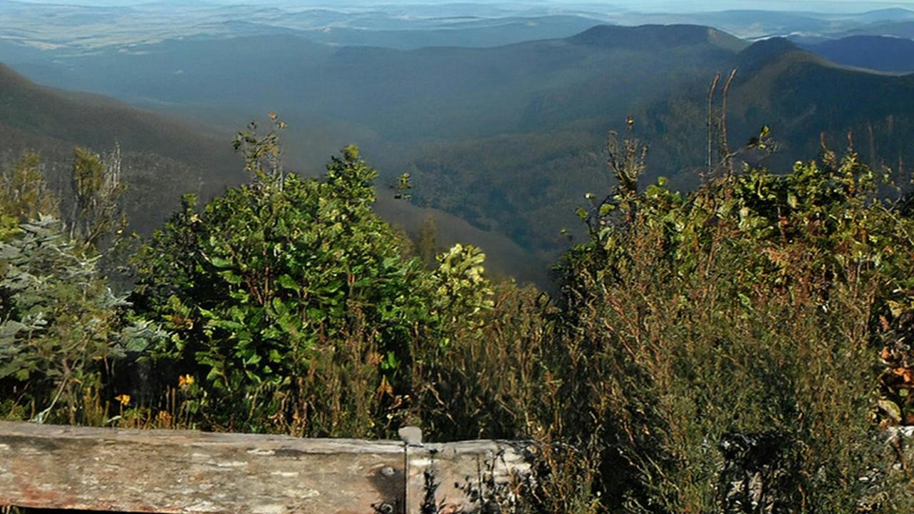 Careys Peak lookout