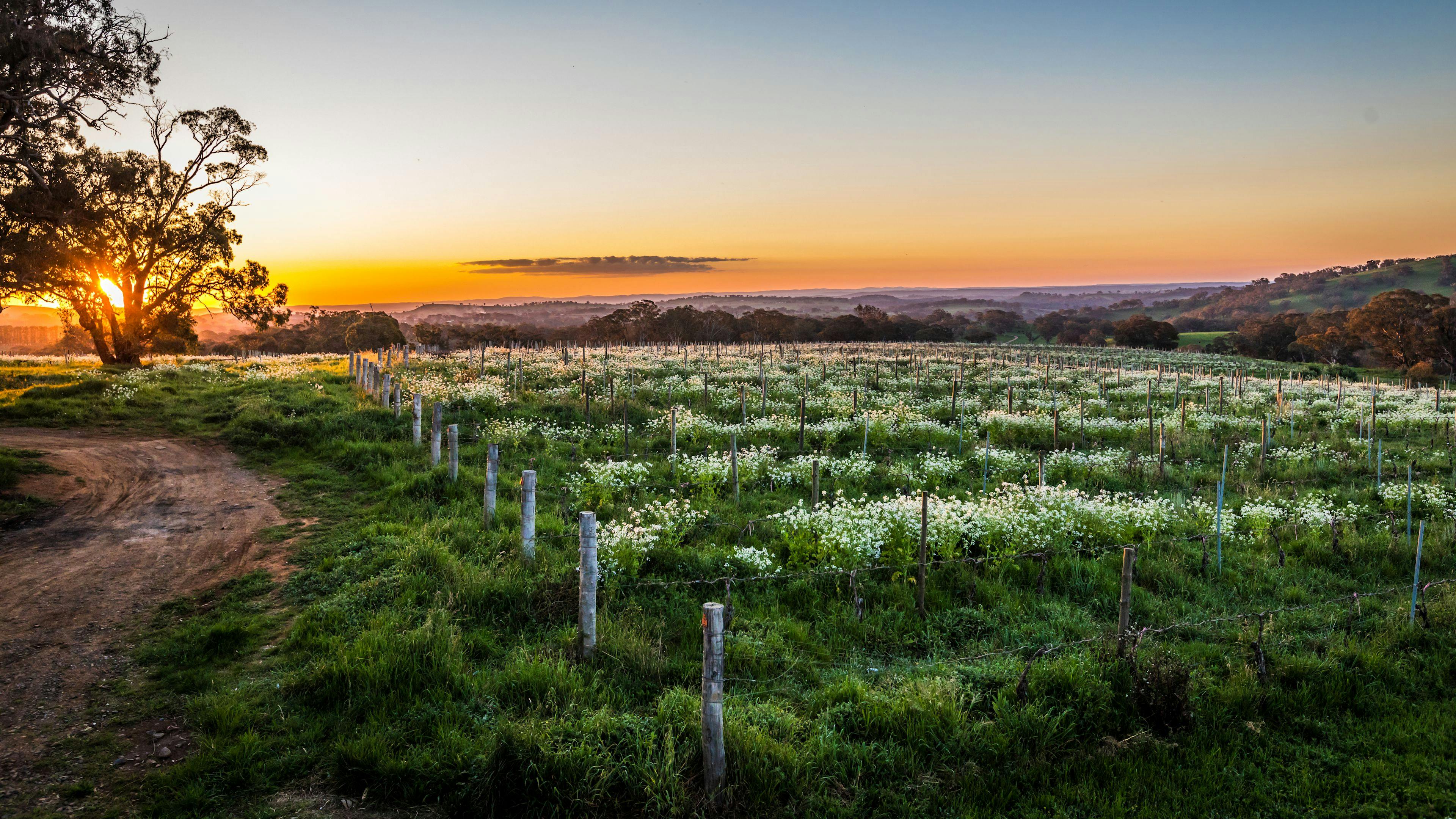 Cargo Road Wines