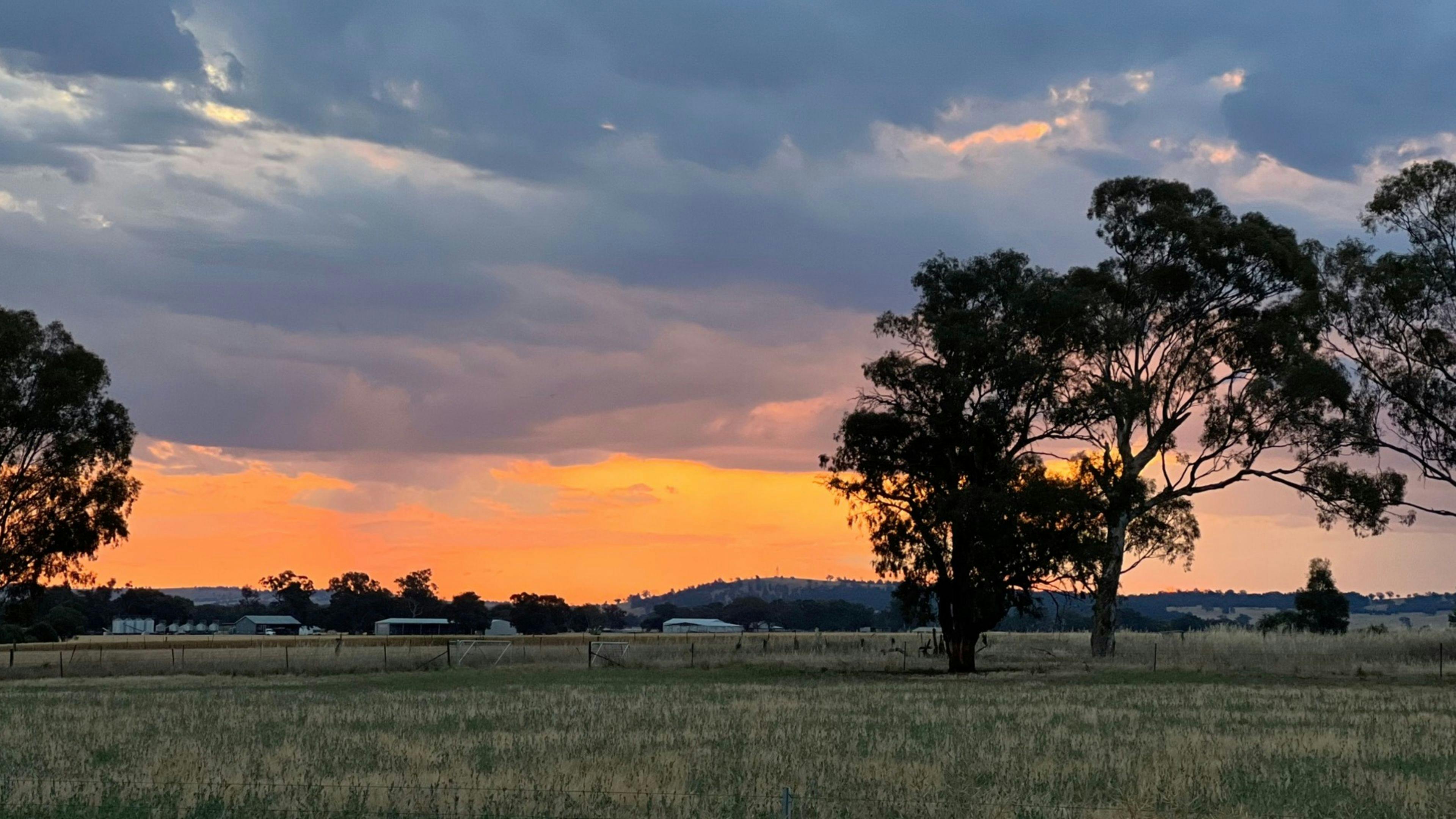 Carinya Caravan Park