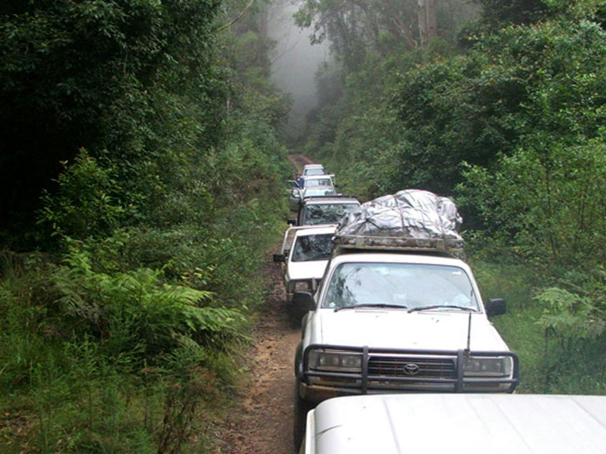 4WD, Carrai National Park. Photo: Piers Thomas/NSW Government