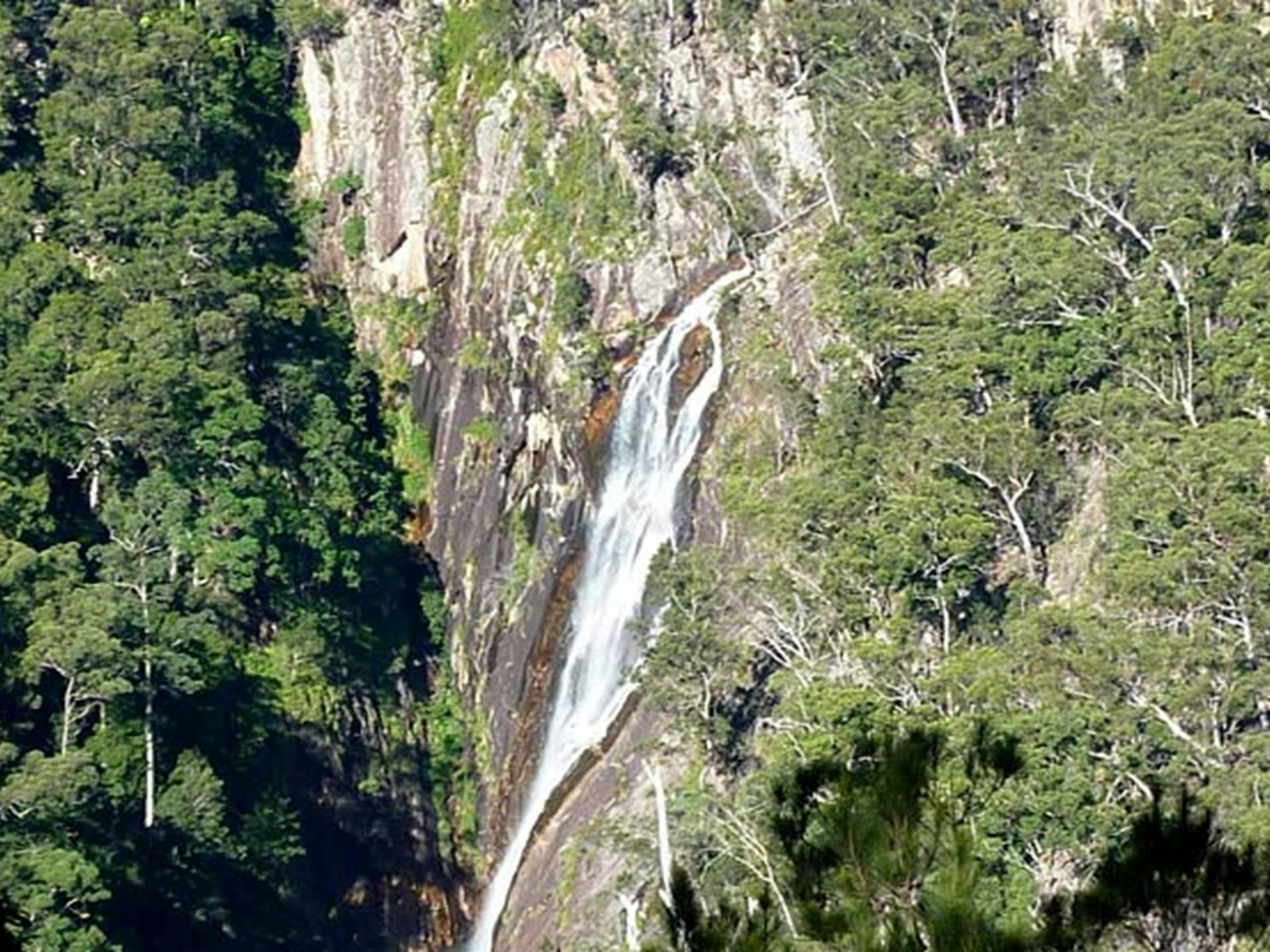 Carrai National Park in Carrai - The Fold: Your Guide to Everything ...
