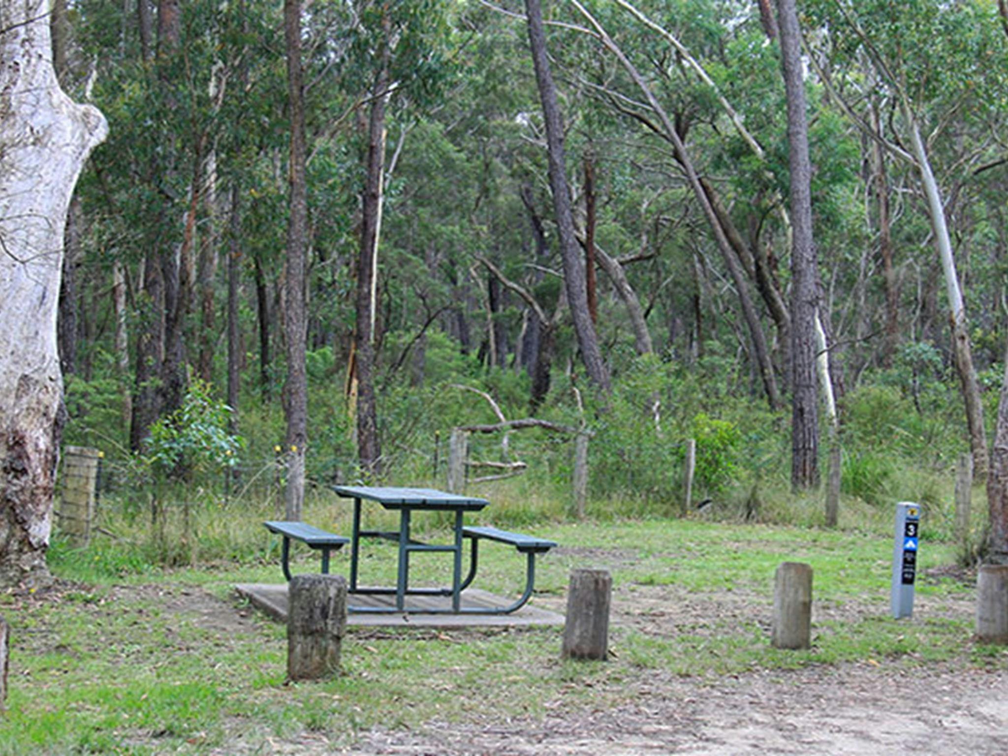 Campingplatz Carrington Falls, Budderoo-Nationalpark. Foto: Chris Keyzer © DPIE