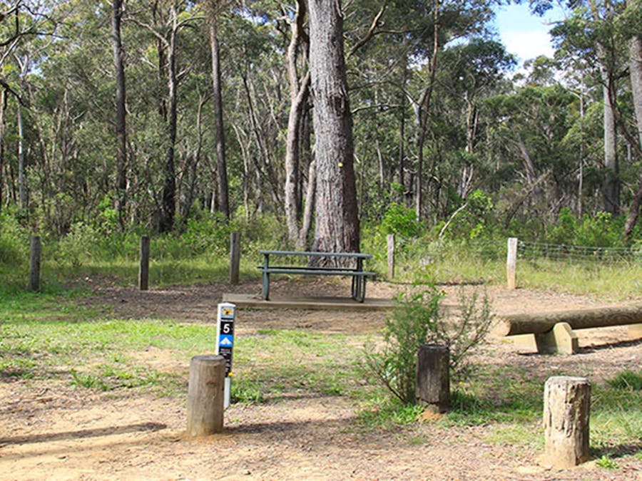 Carrington Falls campground, Budderoo National Park. Photo credit: Chris Keyzer © DPIE