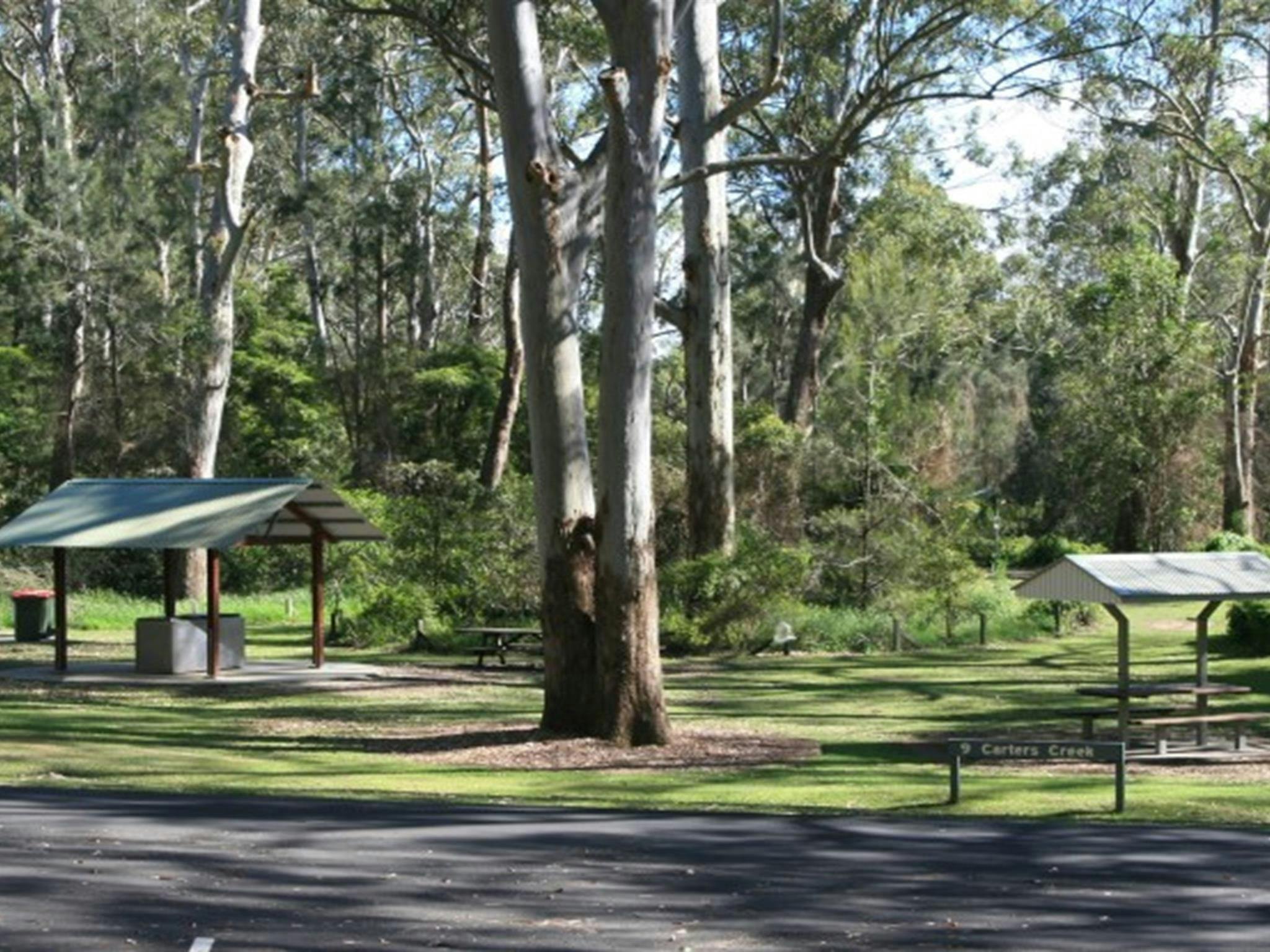 A picnic and barbecue shelter surrounded by trees with carpark in the foreground at Carter Creek