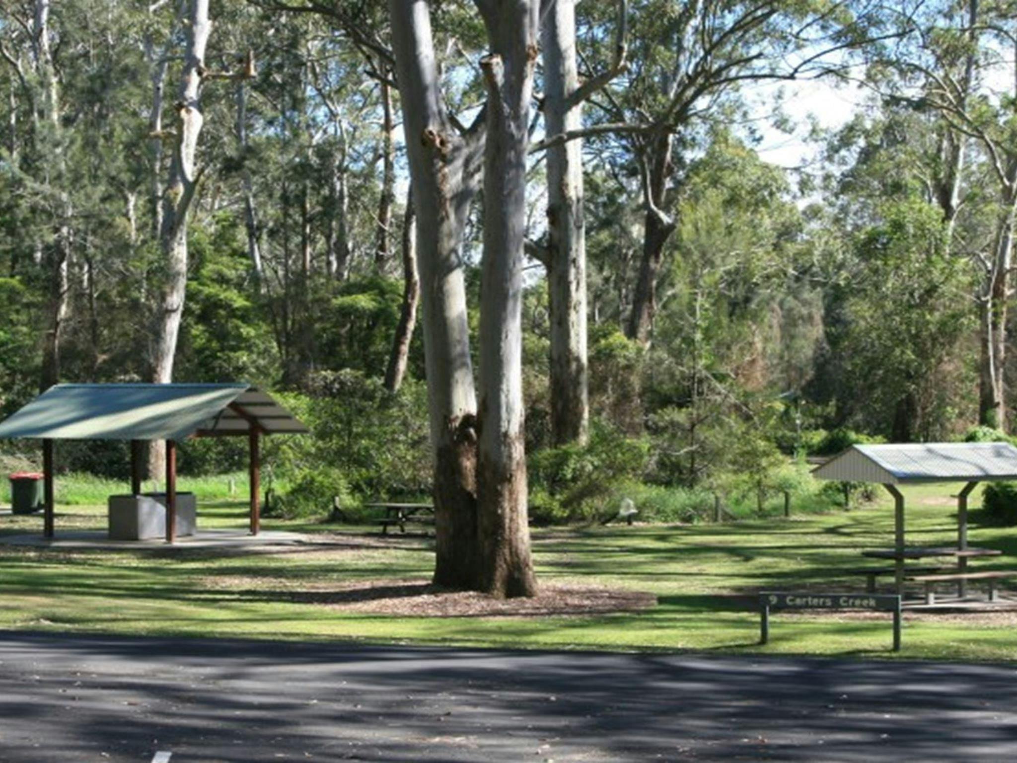 A picnic and barbecue shelter surrounded by trees with carpark in the foreground at Carter Creek