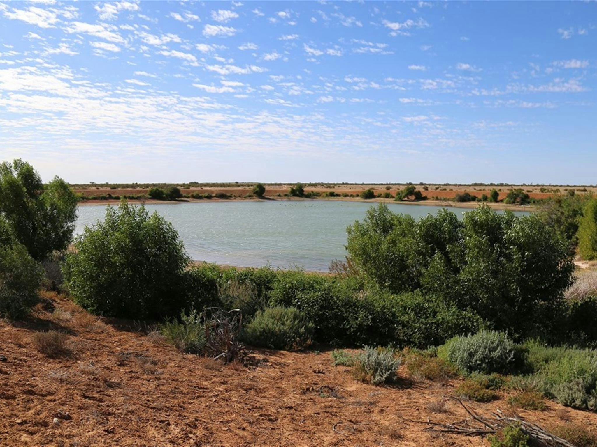 Caryapundy tank, Narriearra Caryapundy Swamp National Park. Photo: Courtney Davies &copy; DPIE