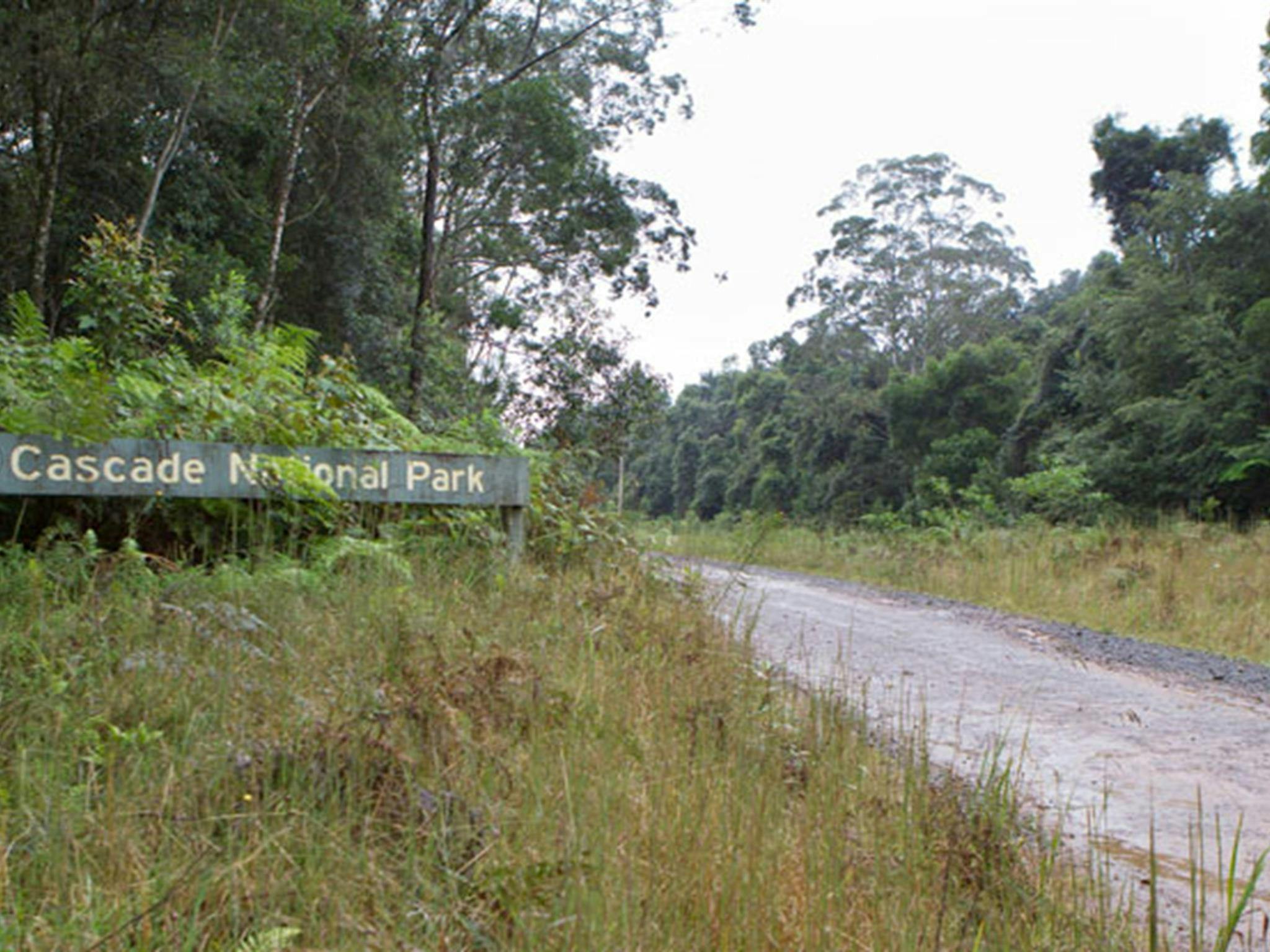 カスケード国立公園。写真：ロバート・クリアリー &copy; DPIE