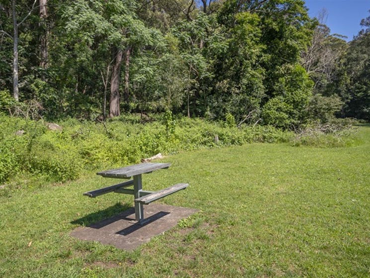 Picnic table at Cascades picnic area, Macquarie Pass National Park. Photo: John Spencer &copy;DPIE