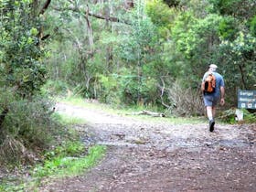Cascades trail