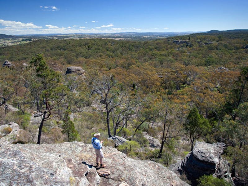 Castle Rocks walk Mudgee Area Attraction