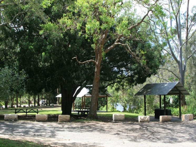 Picnic shelters under trees with the river in the background at Casuarina Point picnic area, Lane