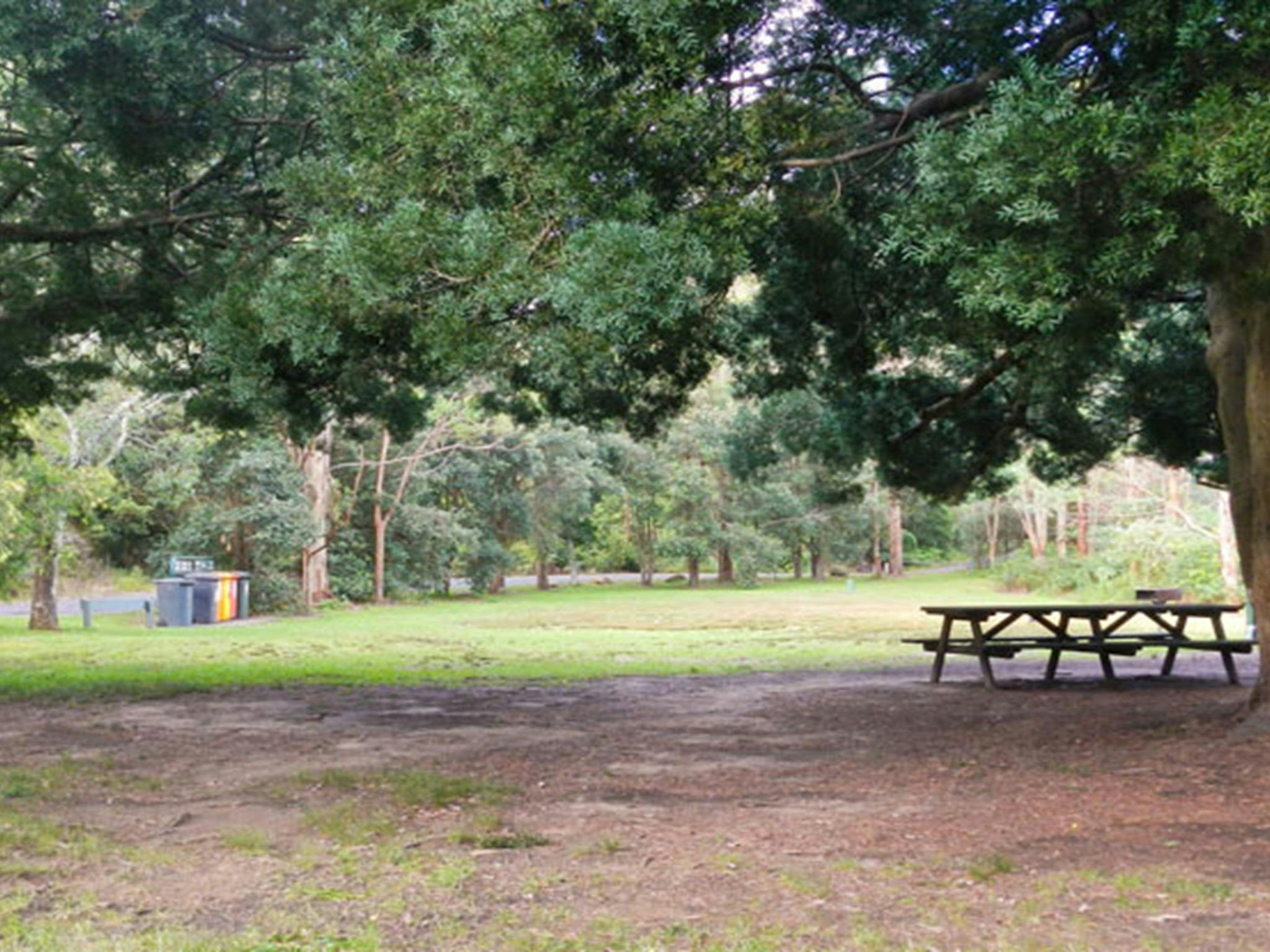 Picknickplatz Casuarina Point, Lane Cove Nationalpark. Foto: Debbie McGerty © OEH