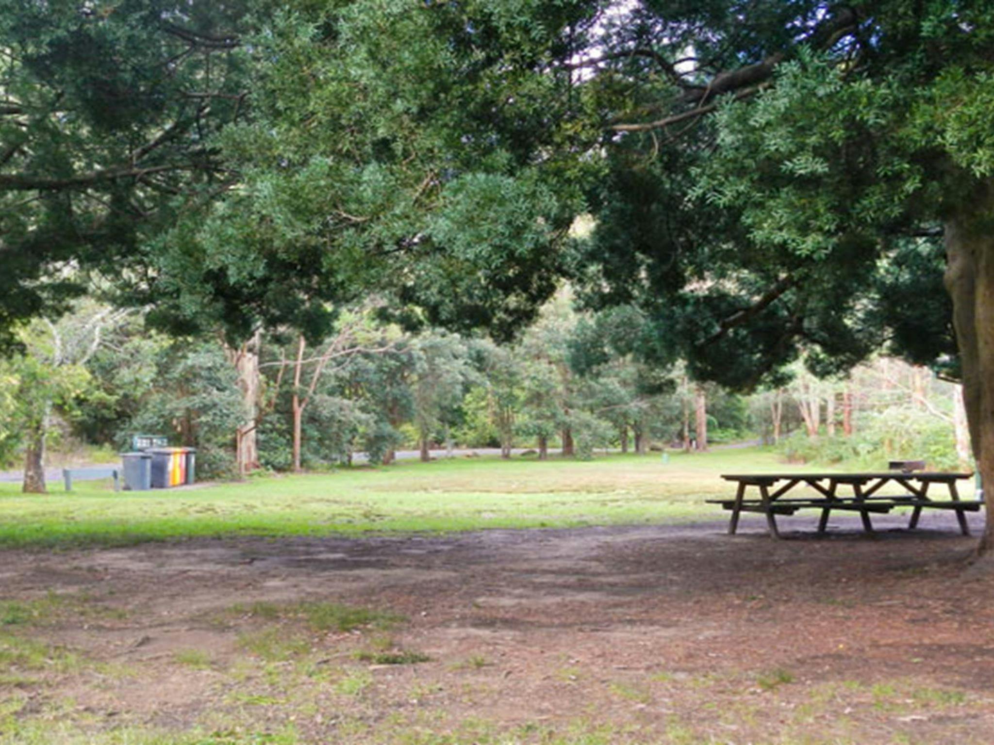 Casuarina Point picnic area, Lane Cove National Park. Photo: Debbie McGerty &copy; OEH