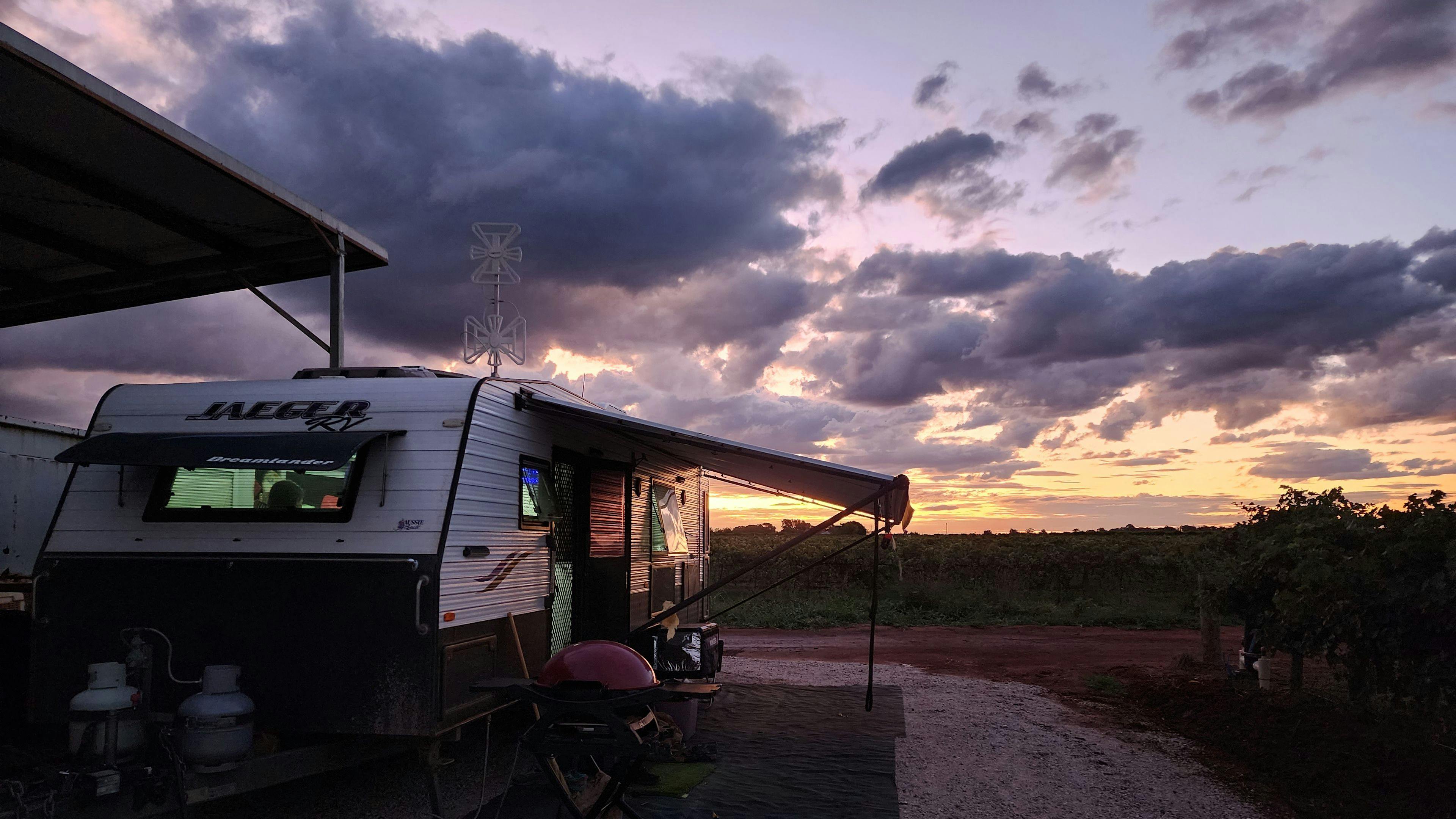 カターニアフルーツサラダファーム