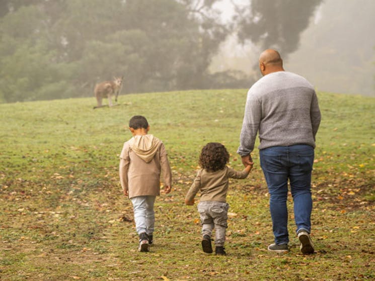 A father walks with his children across a grassy area with a kangaroo in the background, at Cattai