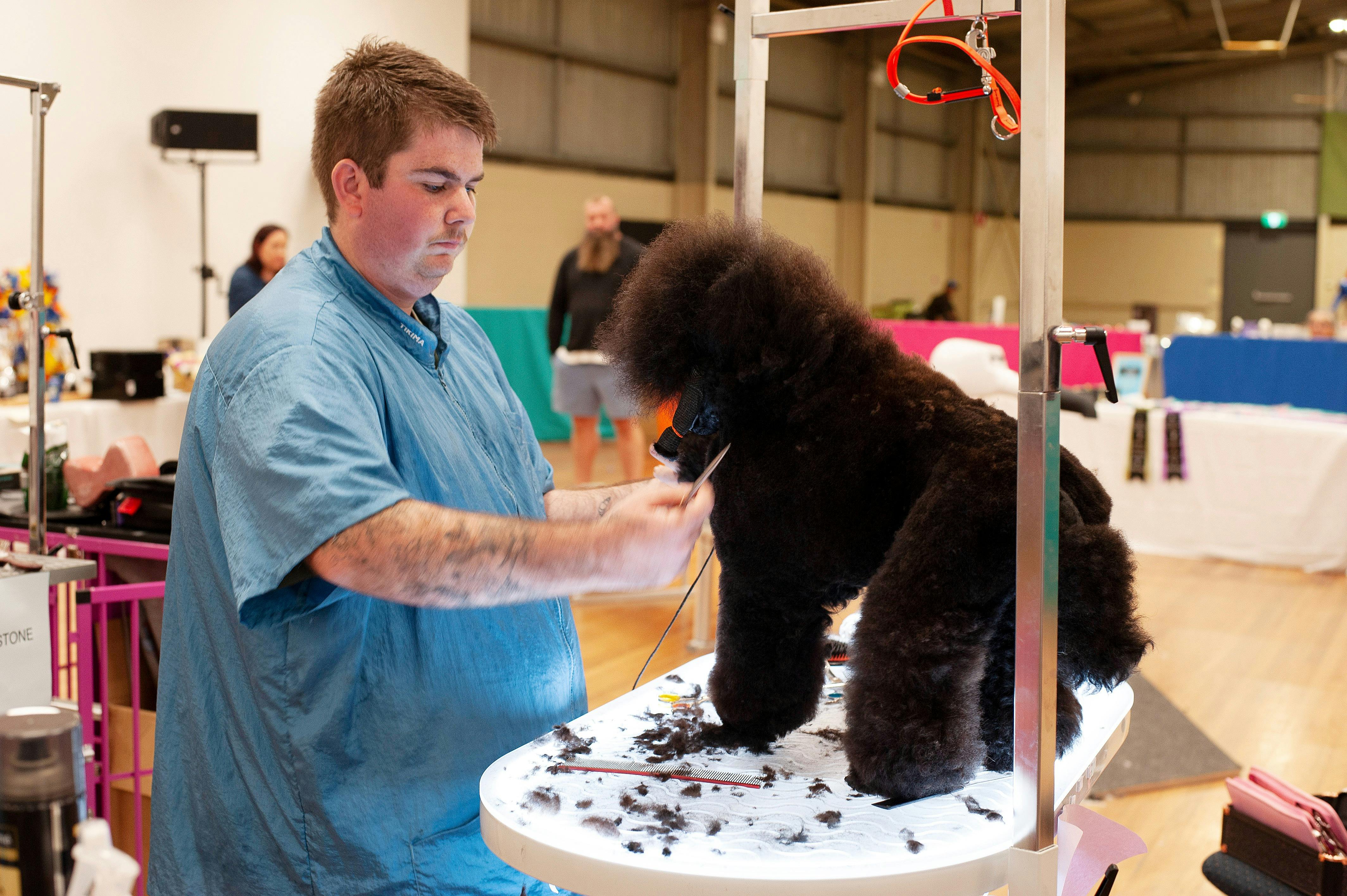 The Pup Cup Dog Grooming Competition
