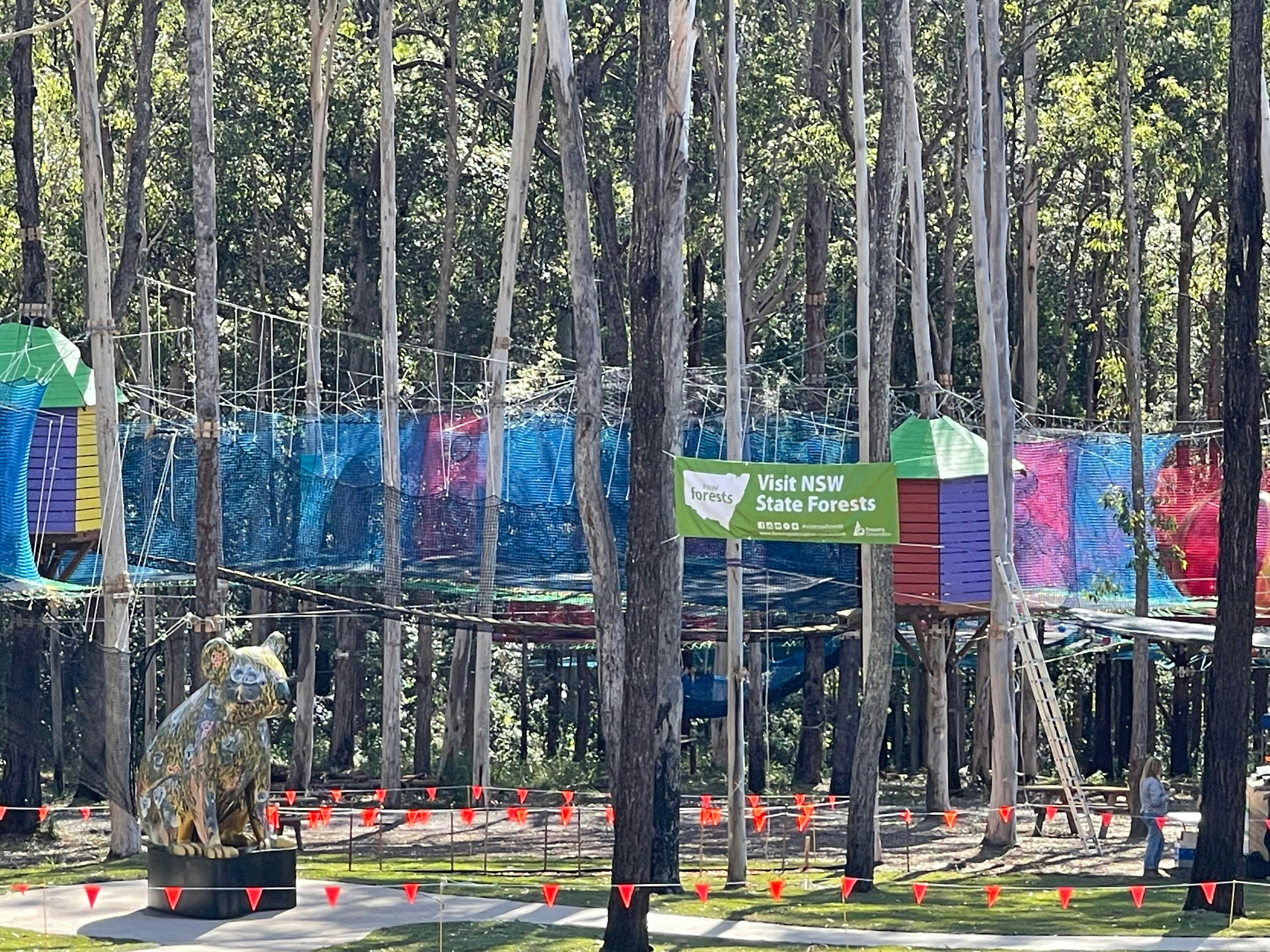 큰 코알라와 WildNets