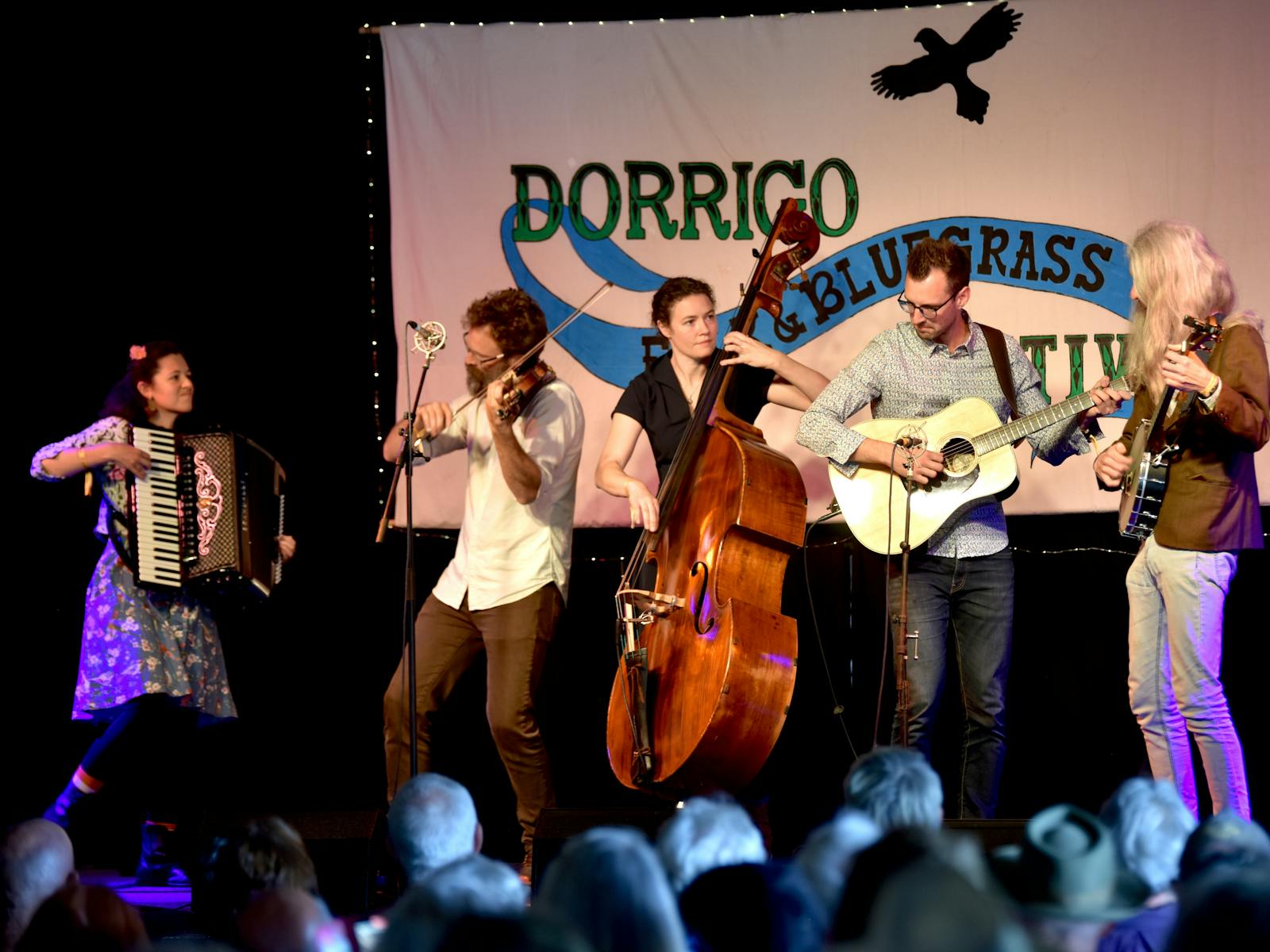 Image for Dorrigo Folk and Bluegrass Festival