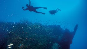 SS Yongala Dive Site