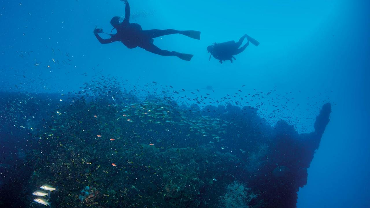 SS Yongala Dive Site