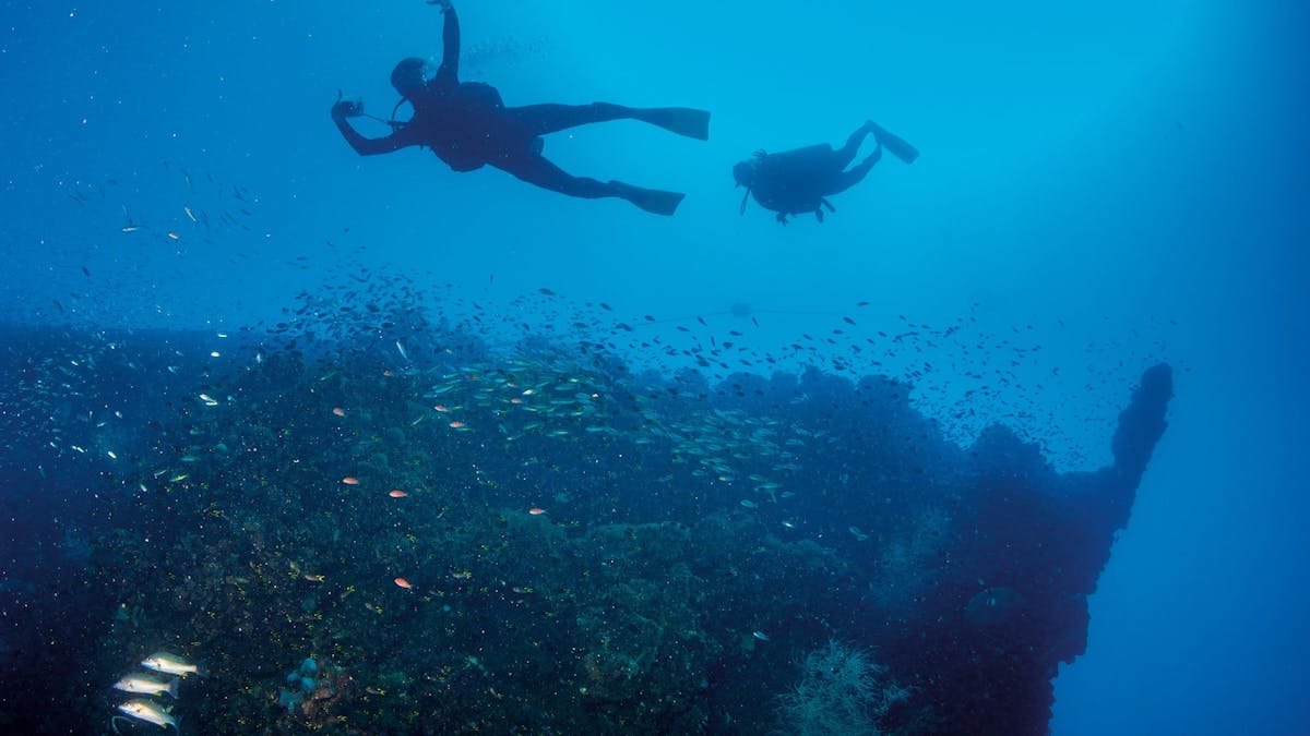SS Yongala Dive Site