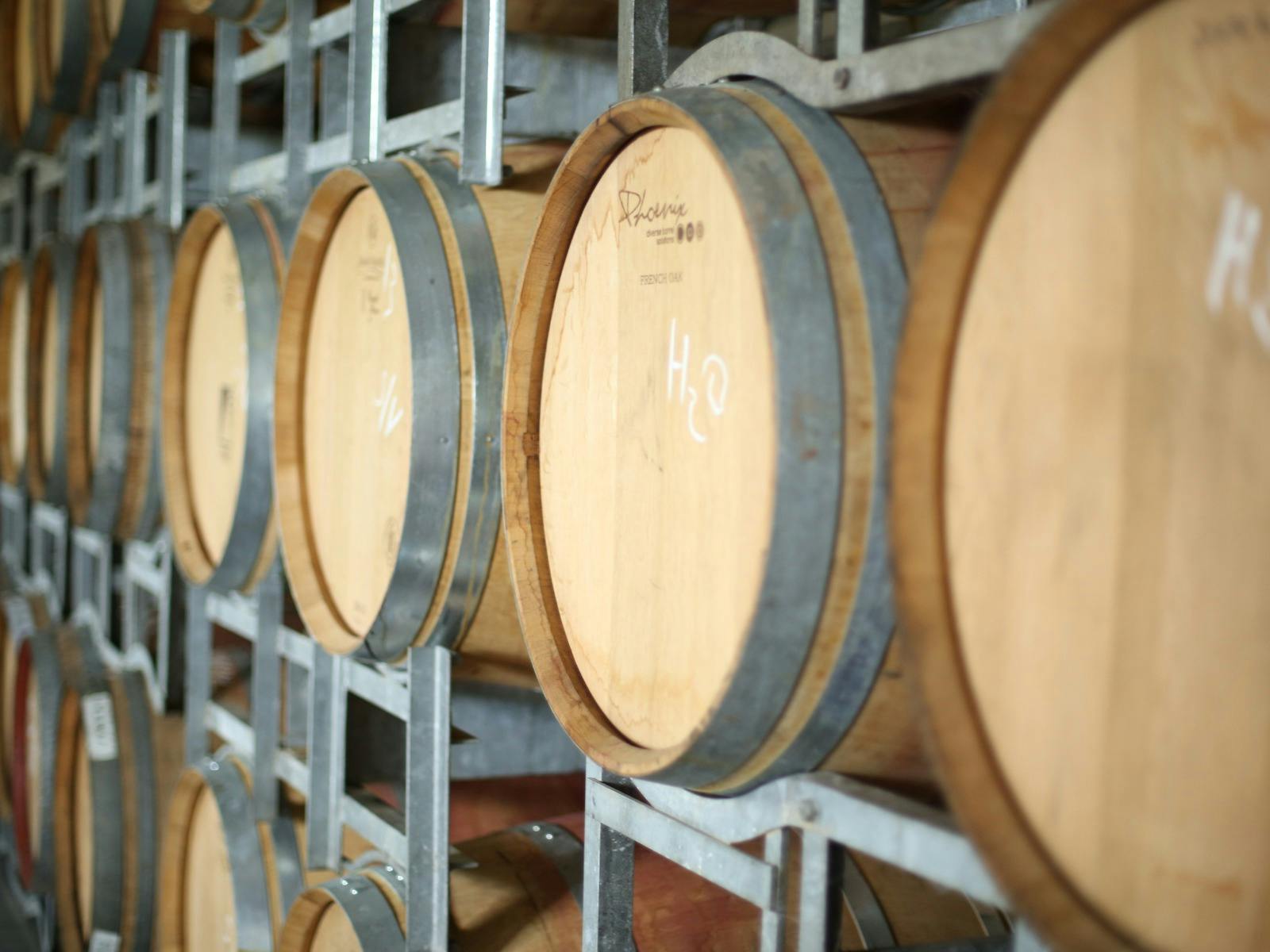 Movies in the Winery