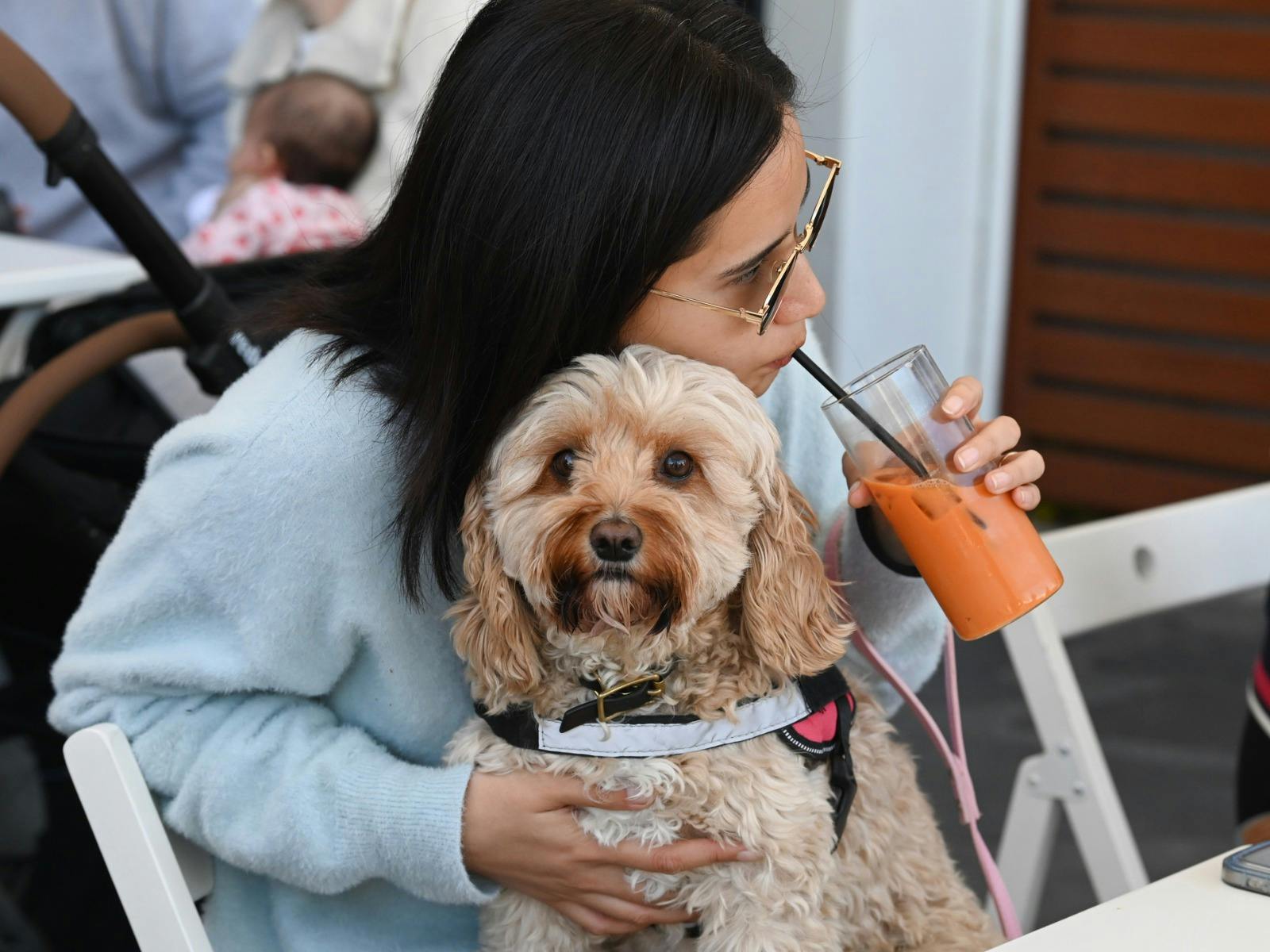 Girl drinking and cute dog