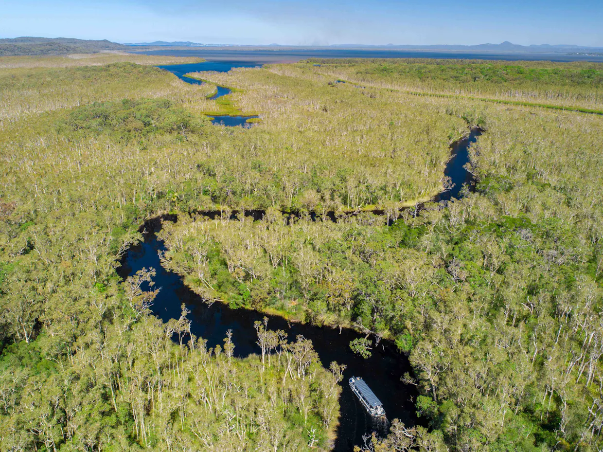 Noosa Everglades and Hinterland Villages Tour with Everglades River Cruise