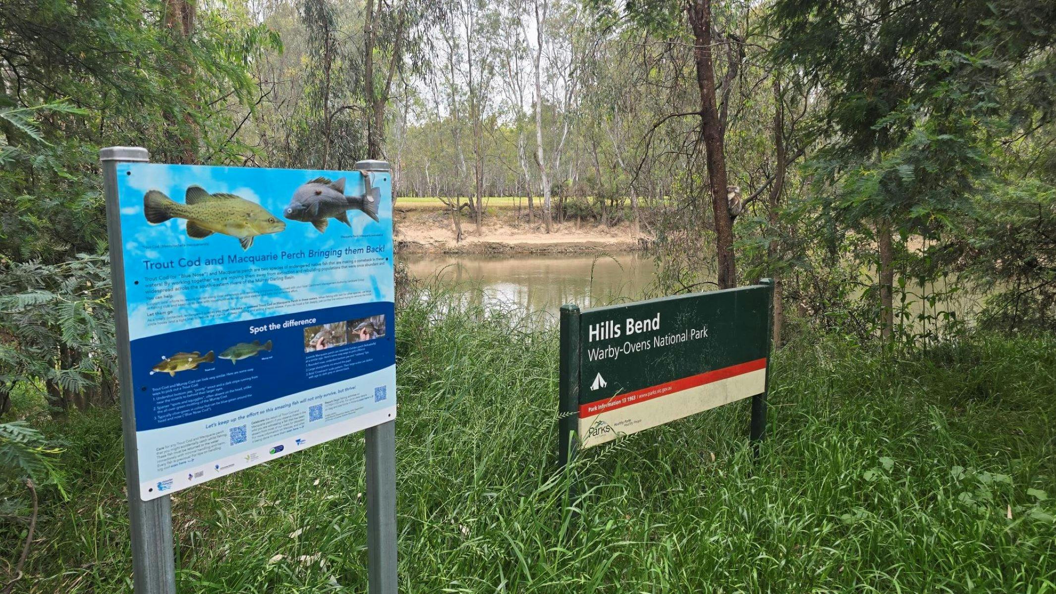 SIgns with information about fishing and camping at Hills Bend in amongst some grass