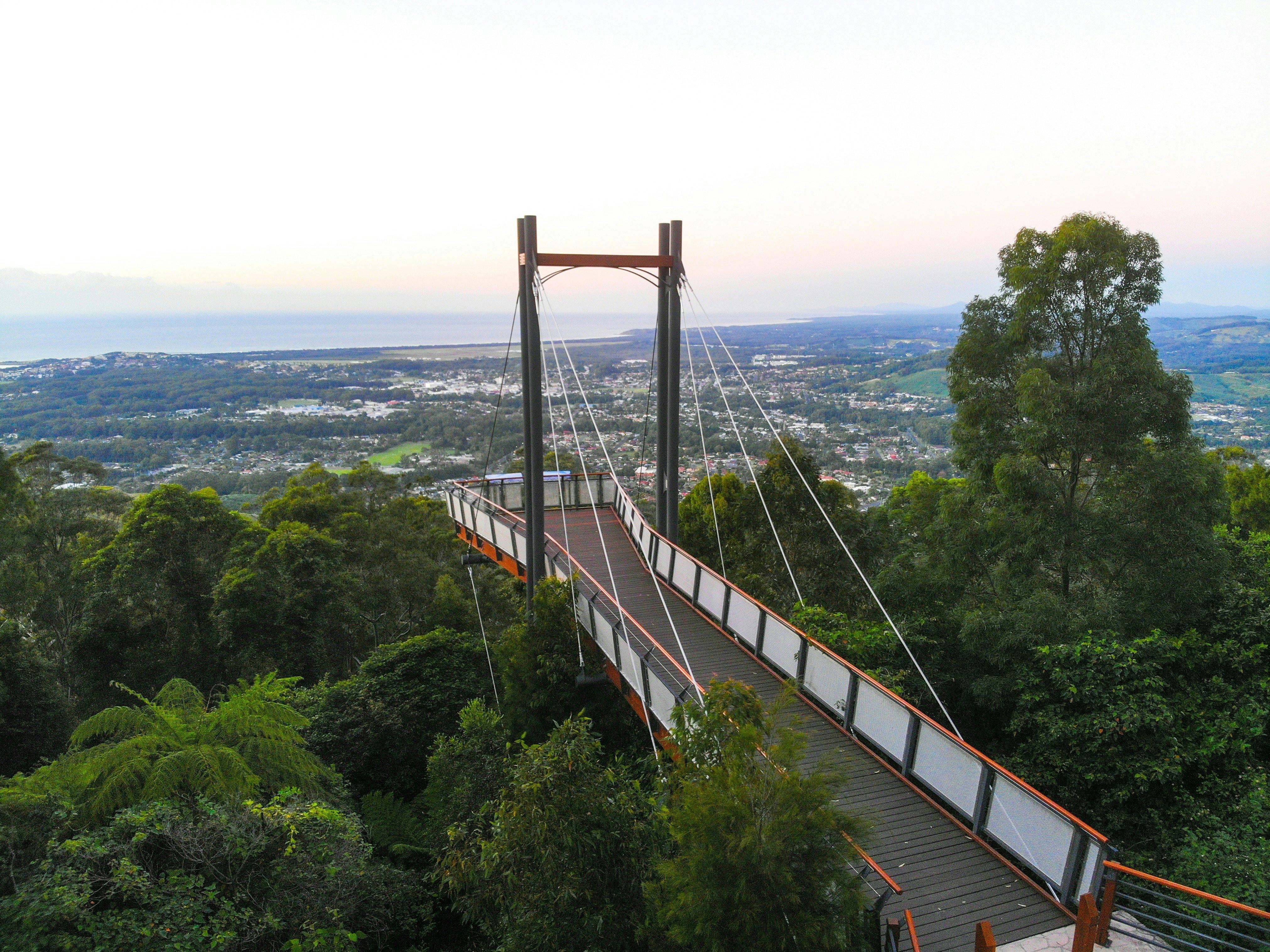 Orara East State Forest