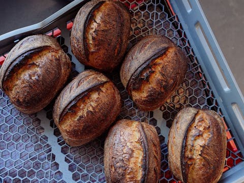 Sour Dough Loafs