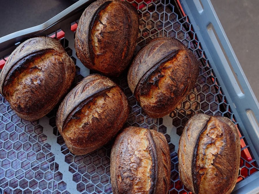 Sour Dough Loafs