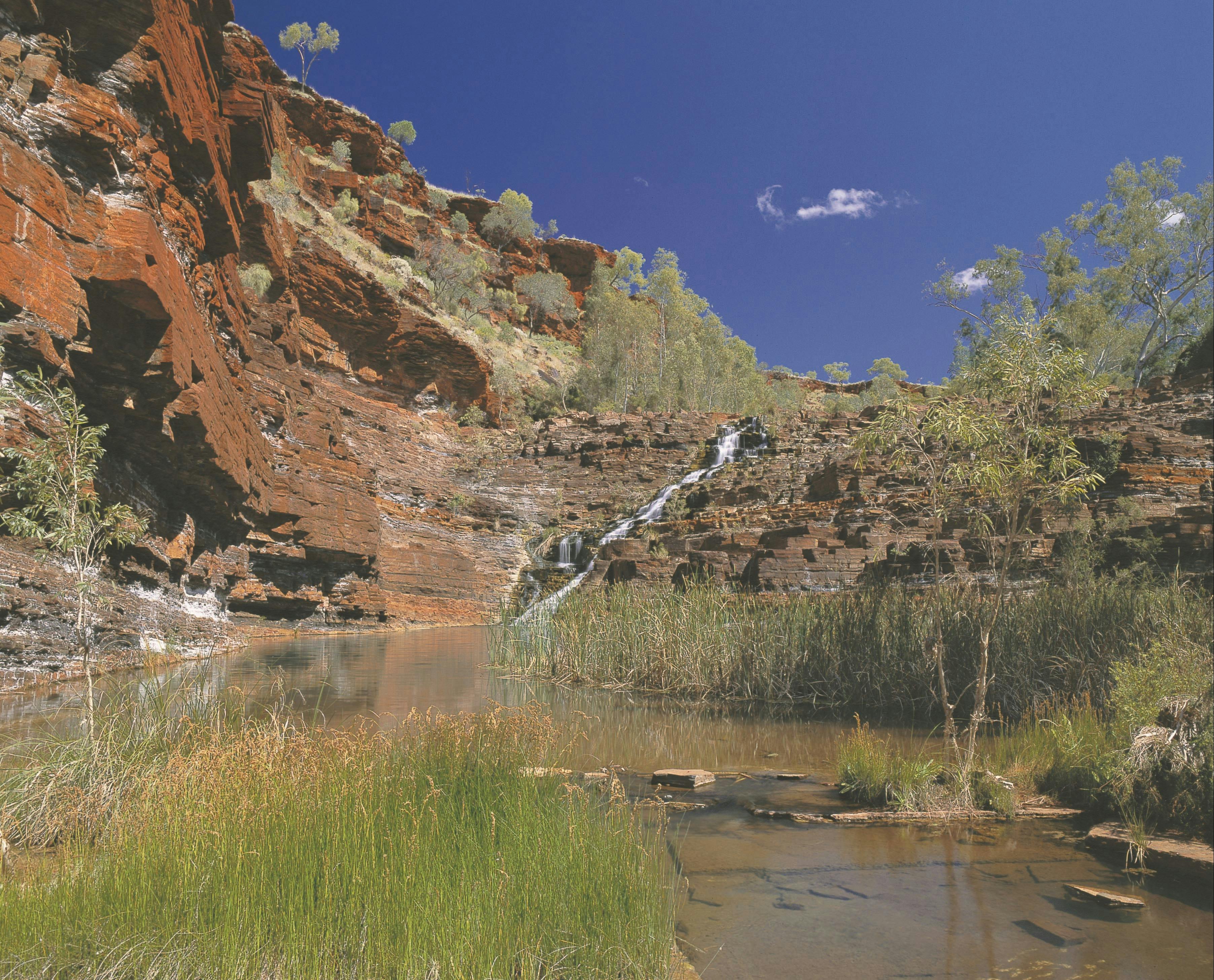 Fortescue Falls
