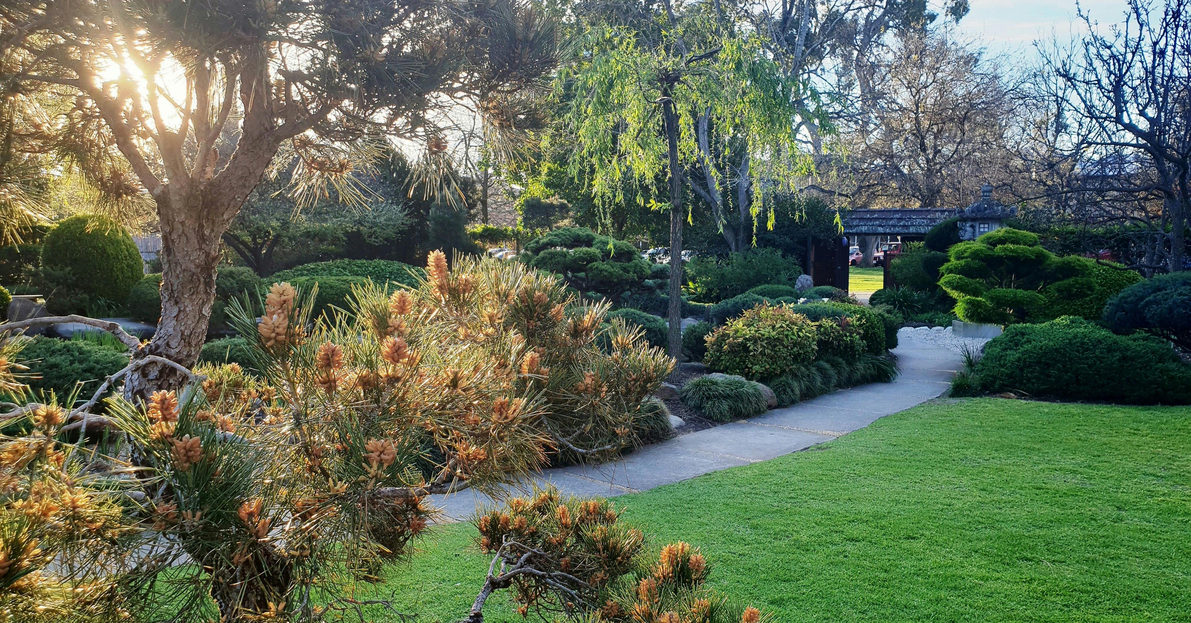 The Himeji Japanese garden within Peppermint Park / Wita Wirra (Park 18)