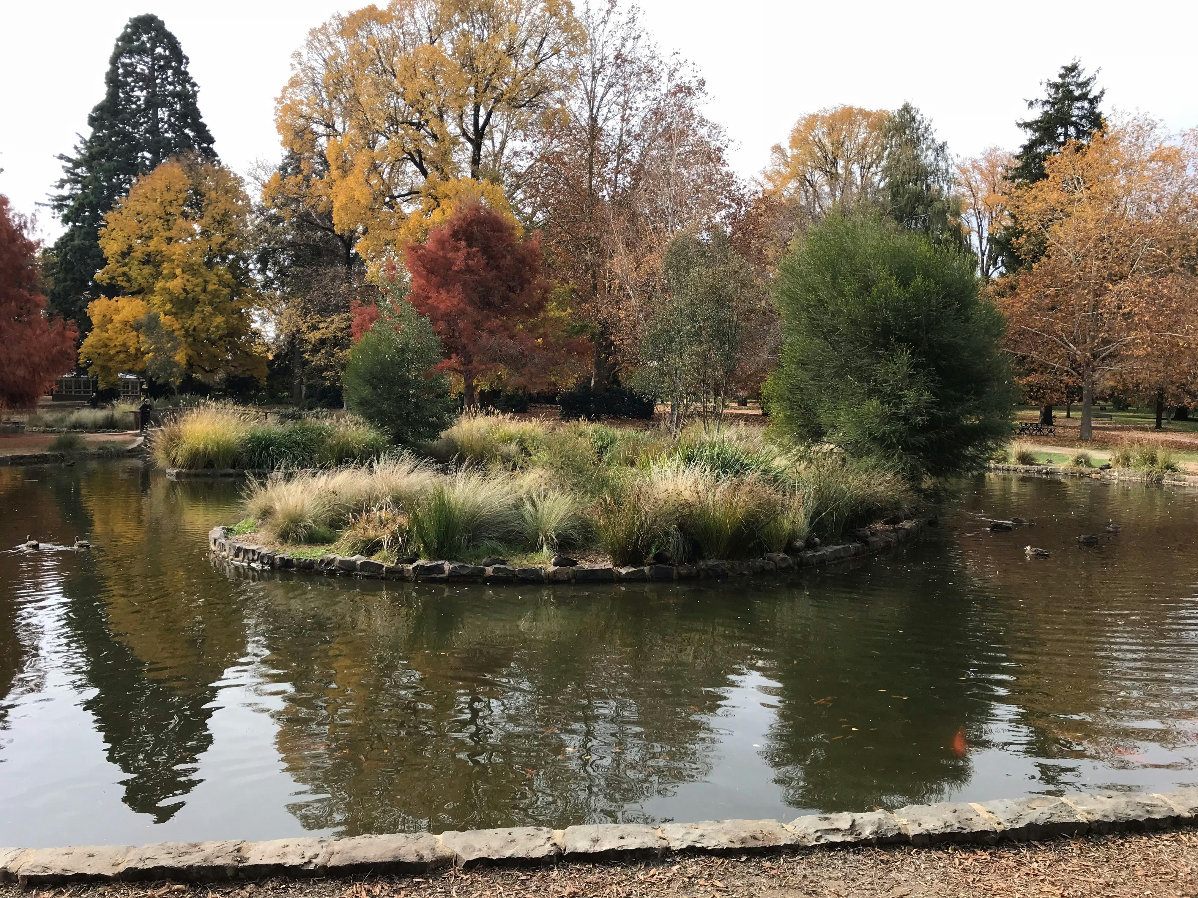 Next door:the duck pond