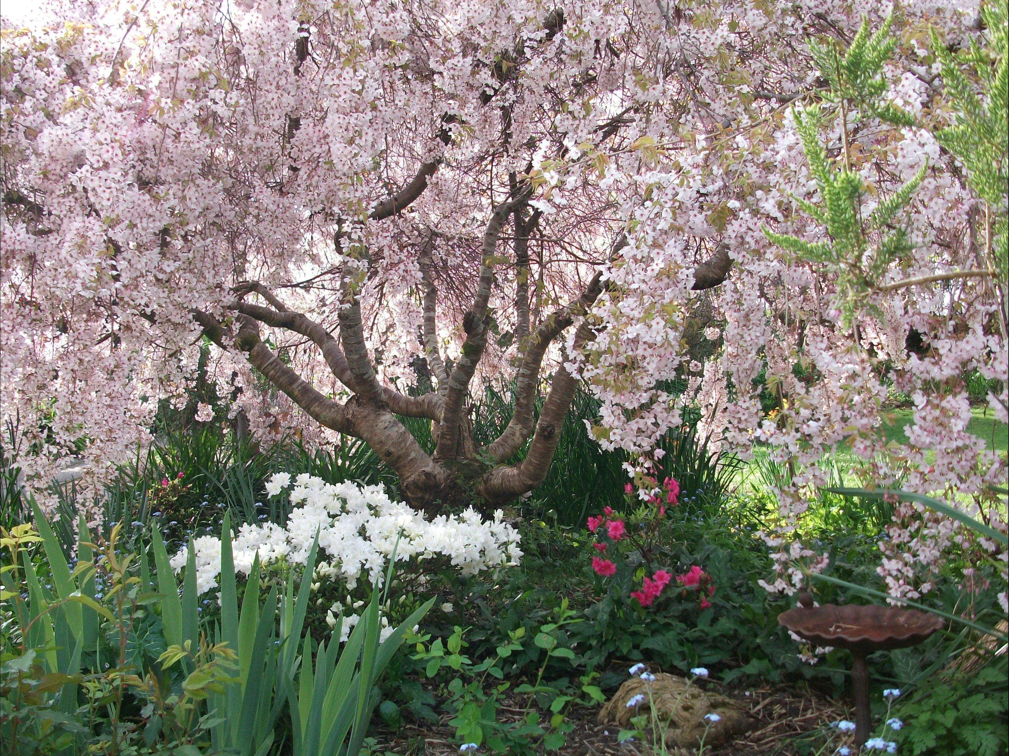 Beauty Point Cottages