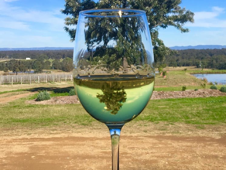 Wine with a view at Thirsty Palette Wines