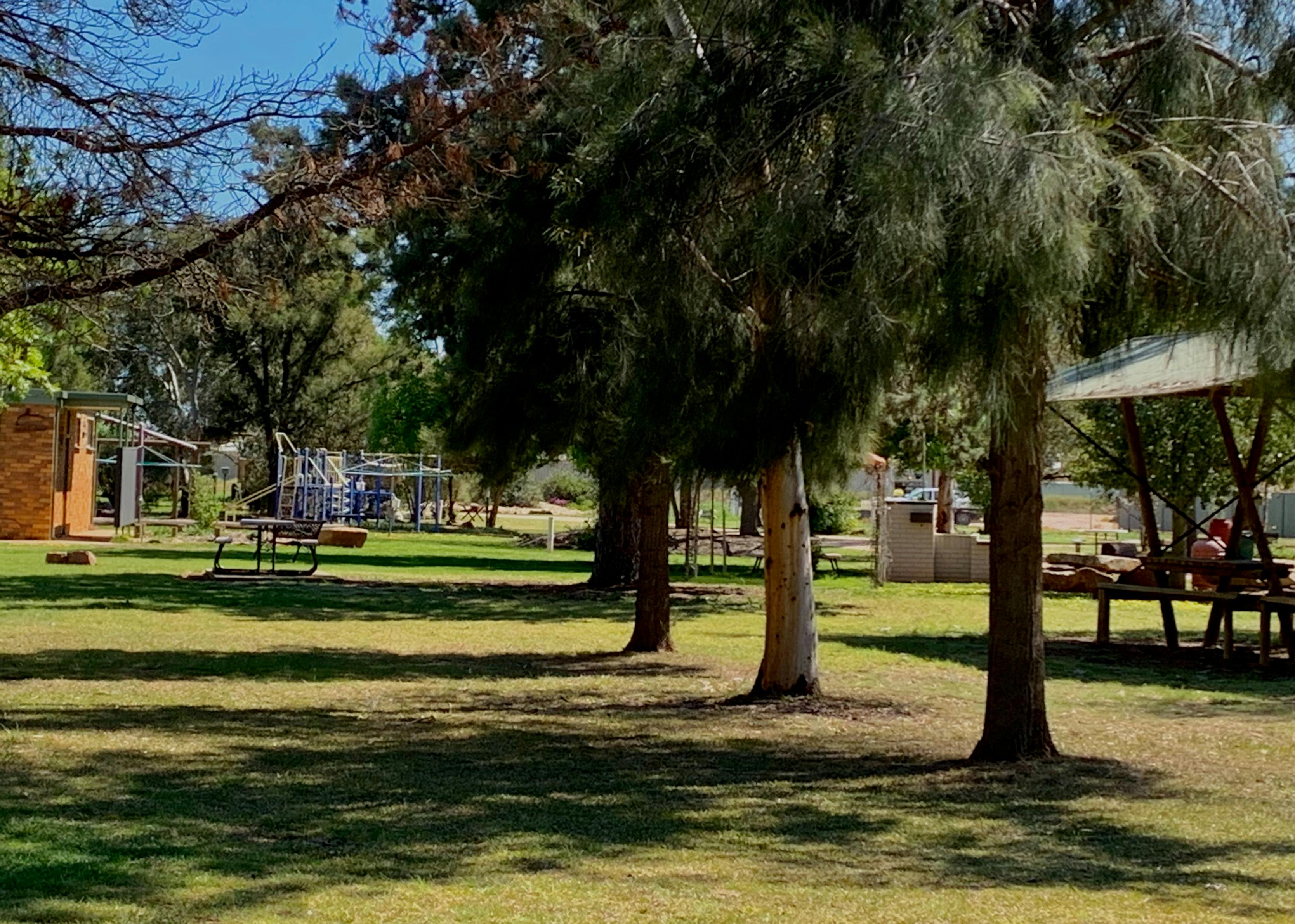 Camping & playground