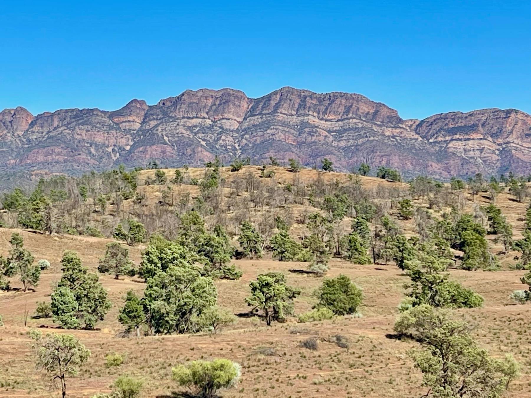 Moralana Scenic Drive