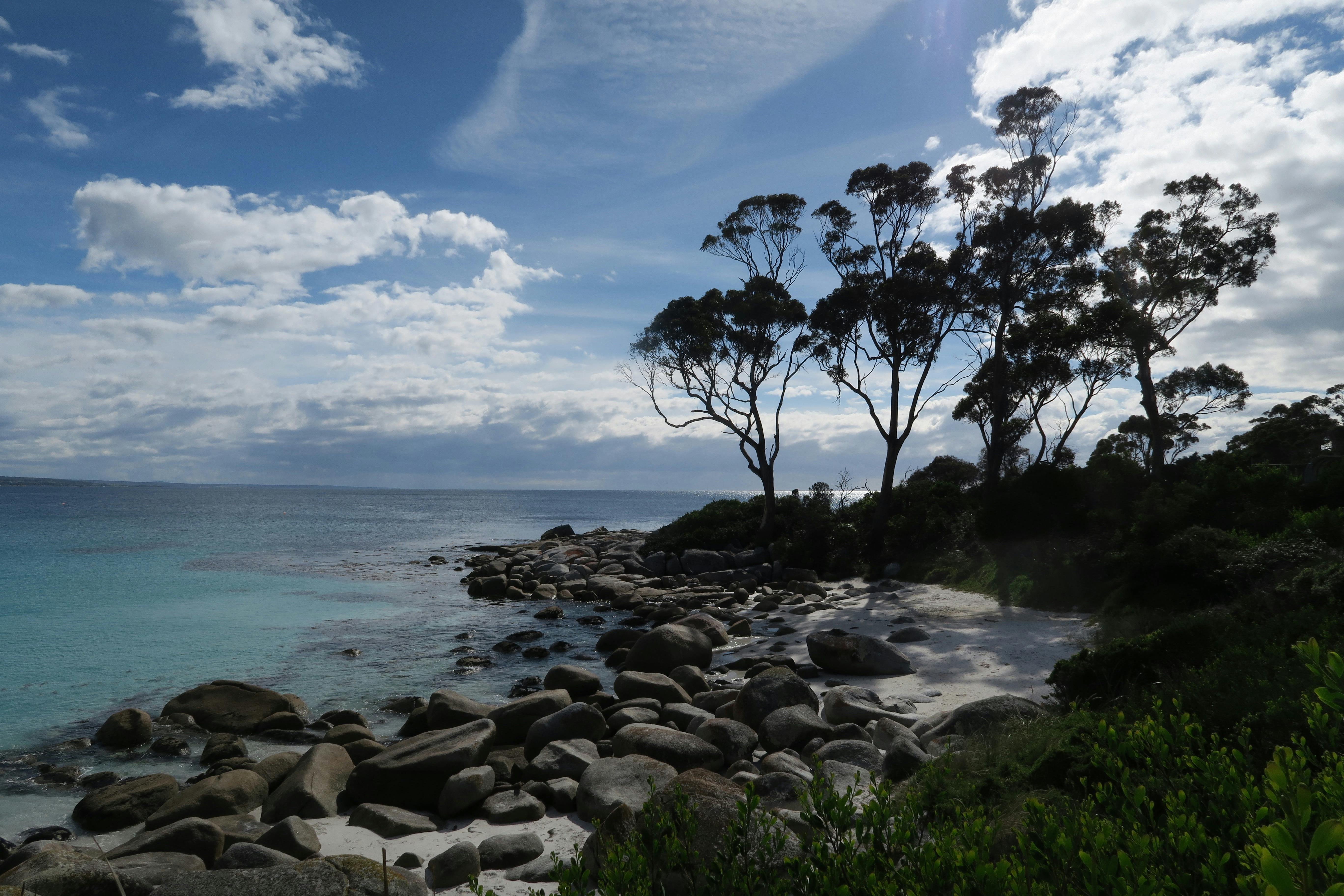 Binalong Bay Beach Shack Discover Tasmania