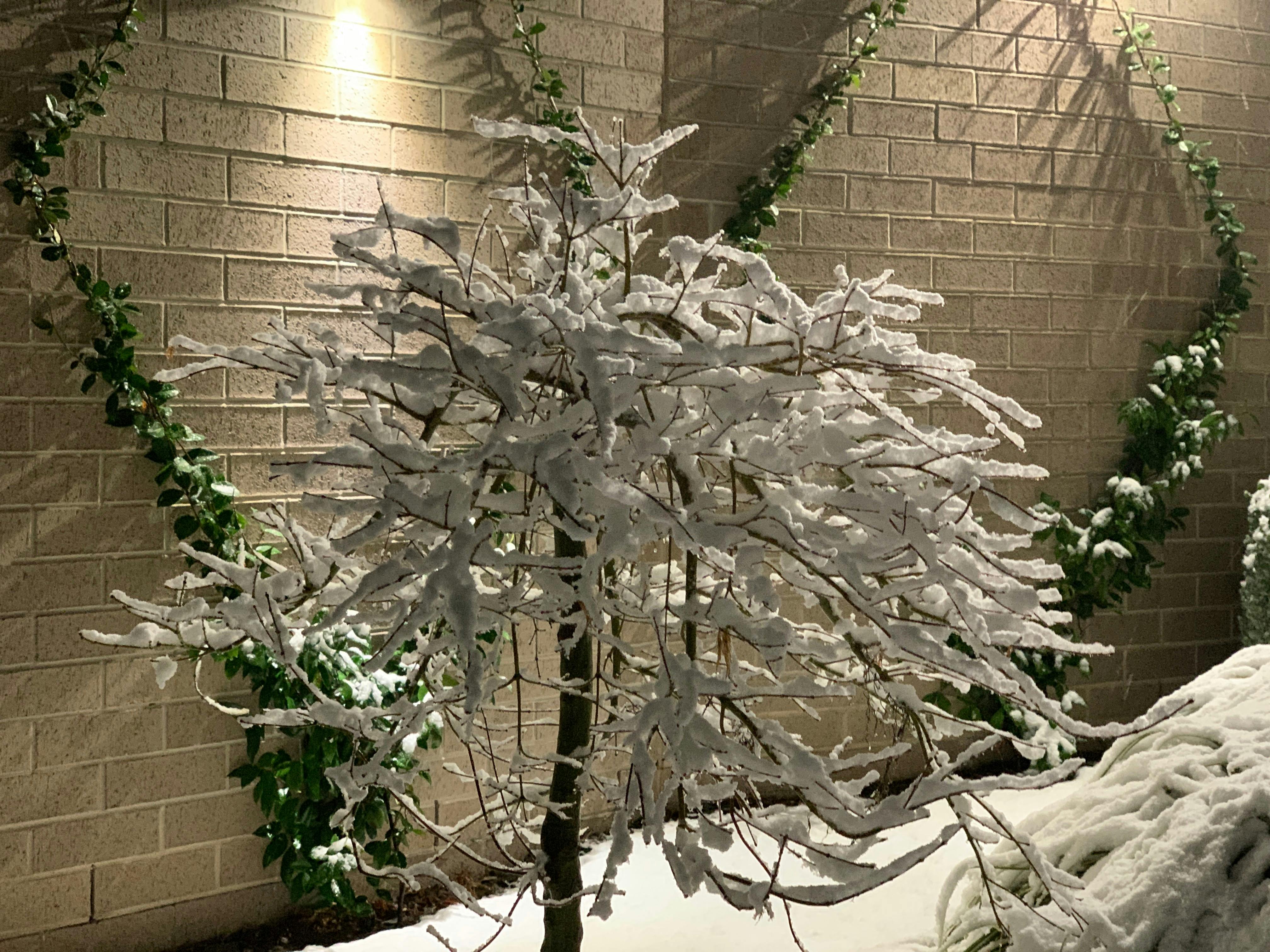 Warm and cosy in snowy conditions