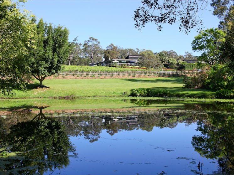 Cassegrain Winery grounds