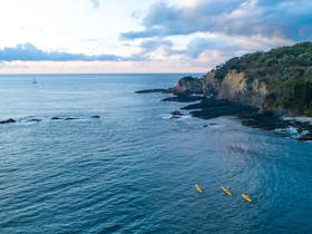 Kayaking Batehaven to Mossy Point