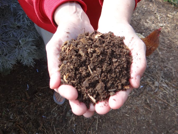 Introduction to Permaculture course