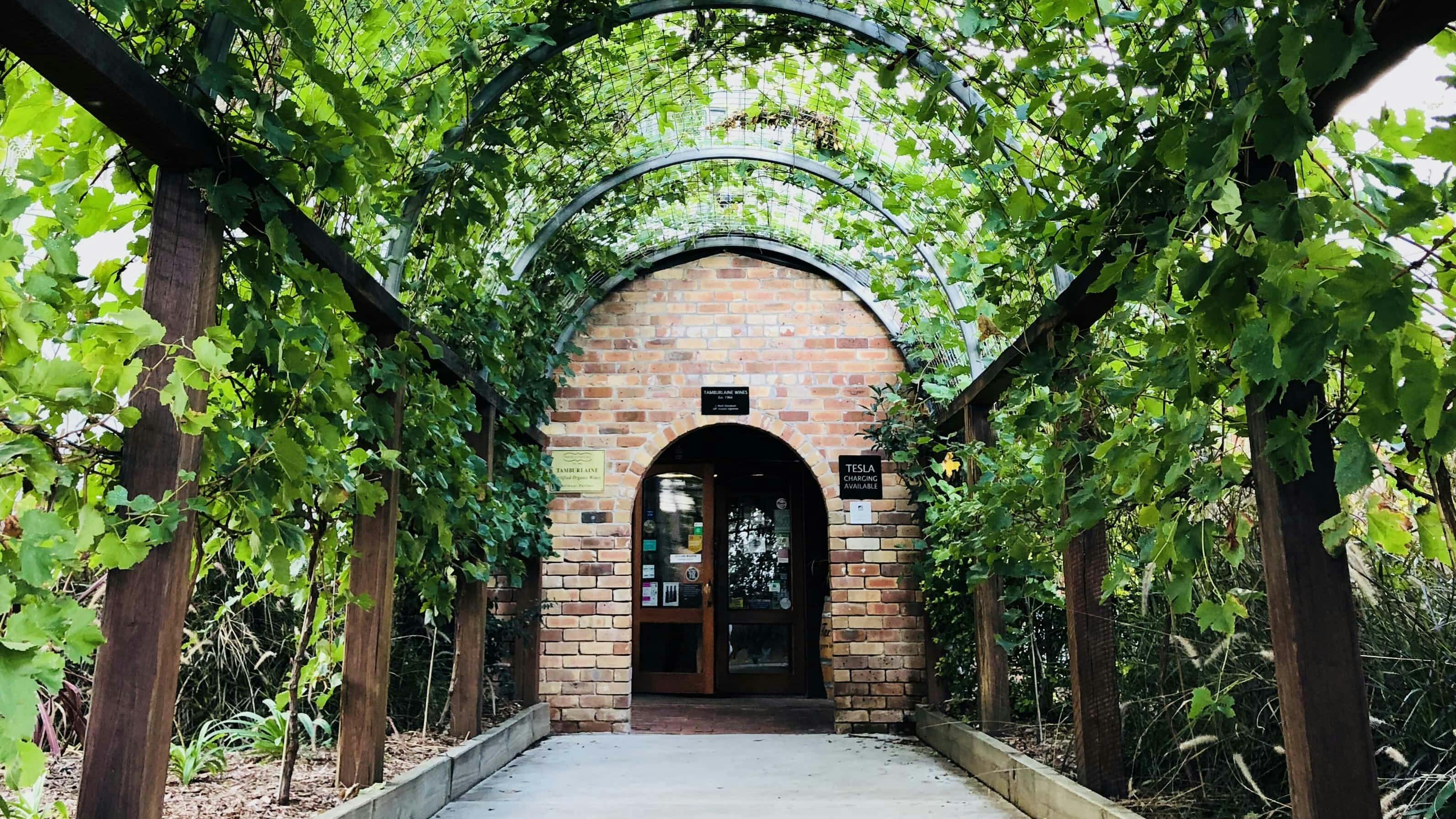 Tamburlaine Organic Wines Hunter Valley Cellar Door