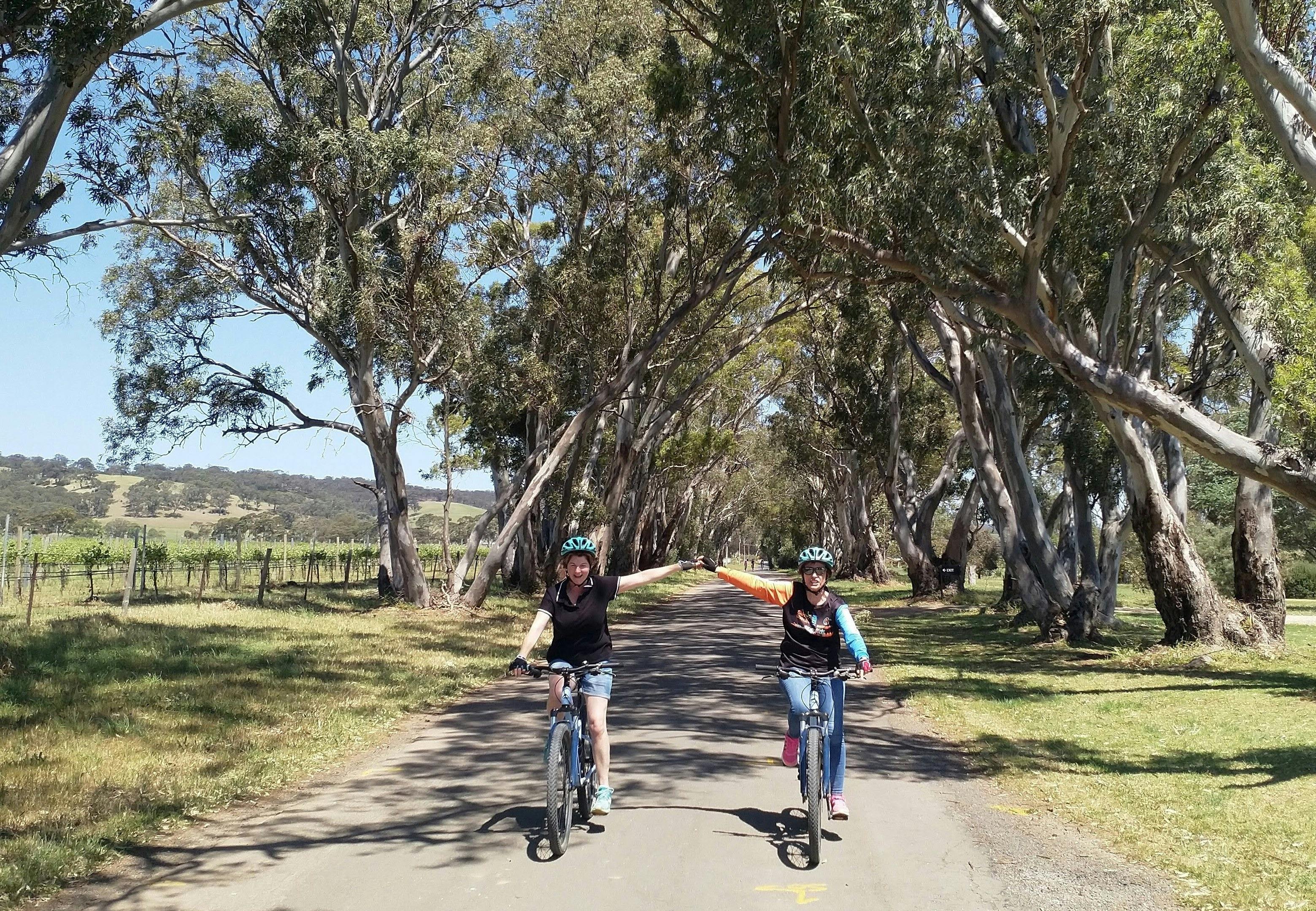 the best way to see the area, by bike!